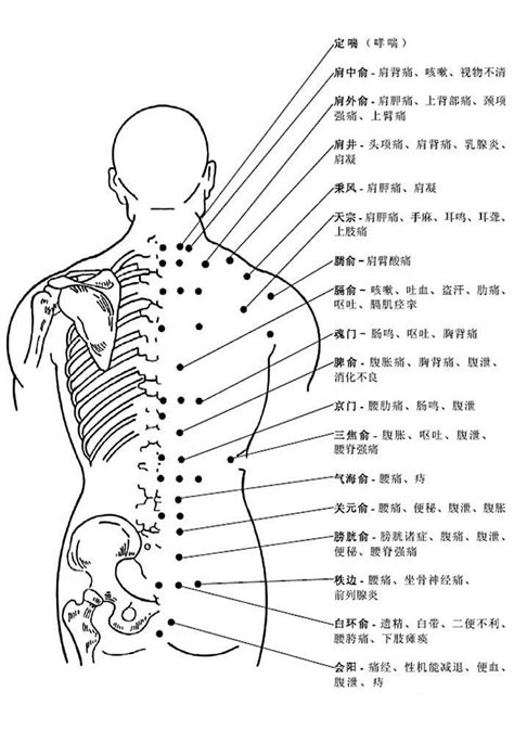 長生學穴位